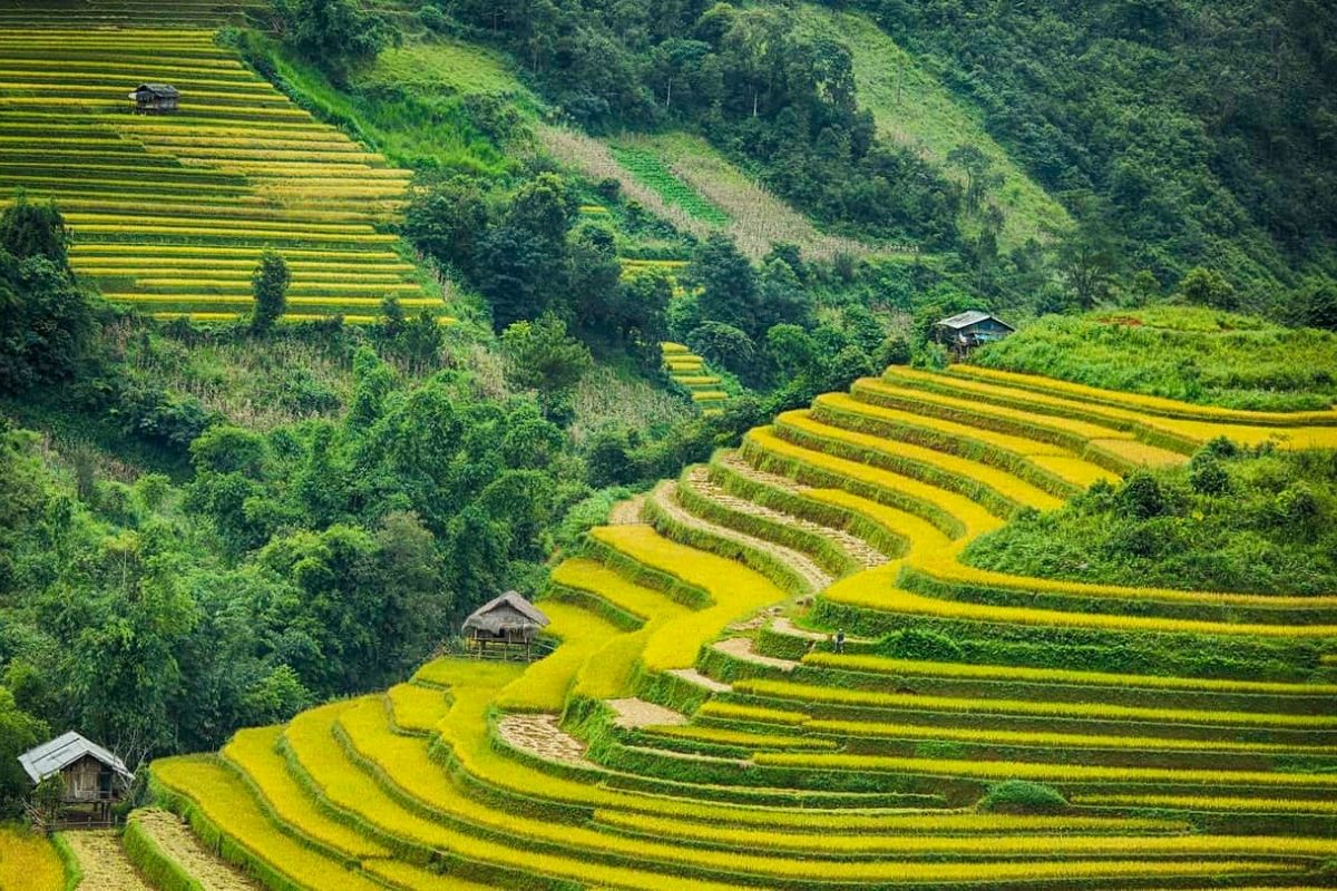 Du lịch Sa Pa Bức tranh núi rừng Tây Bắc choáng ngợp