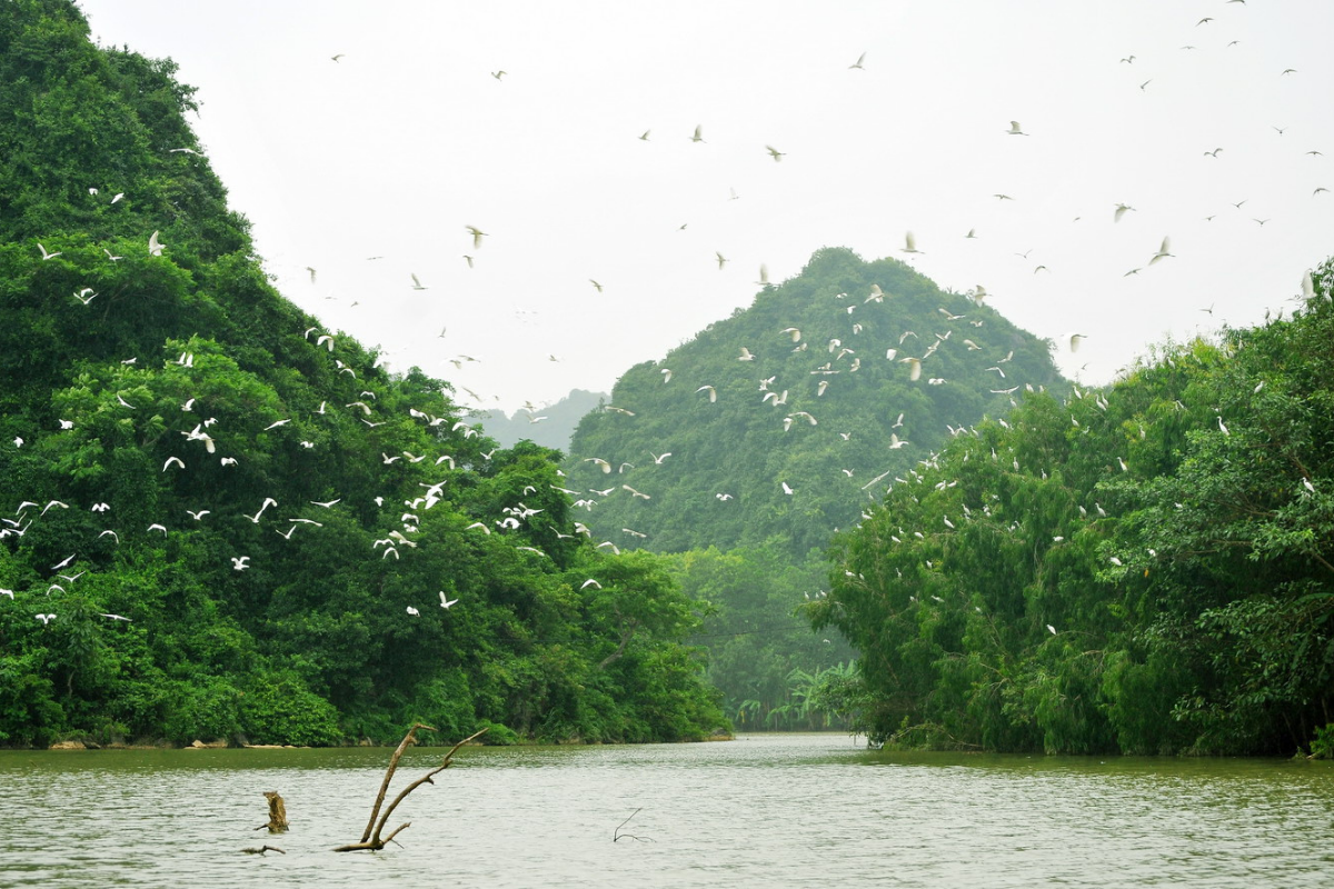 Điểm du lịch sinh thái Thung Nham có gì cuốn hút?