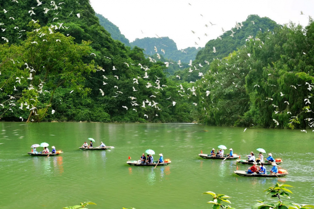 Điểm du lịch cuốn hút- Vườn chim Thung Nham tại Ninh Bình