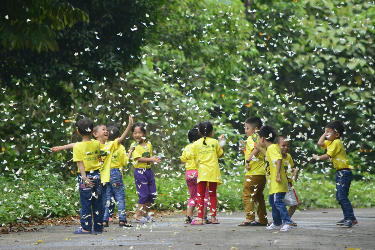 Nên tham quan vườn quốc gia Cúc Phương khi nào?